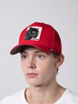 Бейсболка GOORIN BROTHERS арт. 101-2510 (красный)